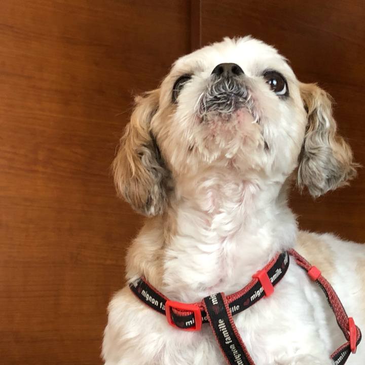 Ca4fe986 a37d 4721 97b1 4b37651dcffb 1598823650634