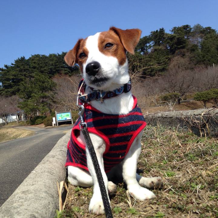 Ca5009f1 bff7 4b25 b528 05c2c44c7705 1519959783222