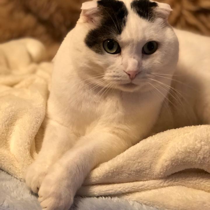 Ca500bd1 cb1e 4e15 a2a0 87f757fc0f65 1582972418255