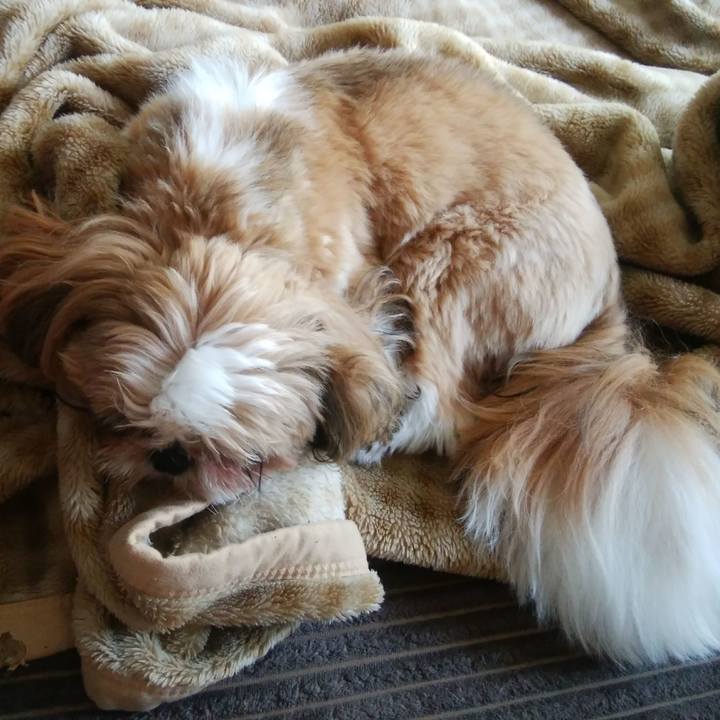 Ca5052e0 63d8 47bd a7ff 3d0aa85132b9 1559969973011