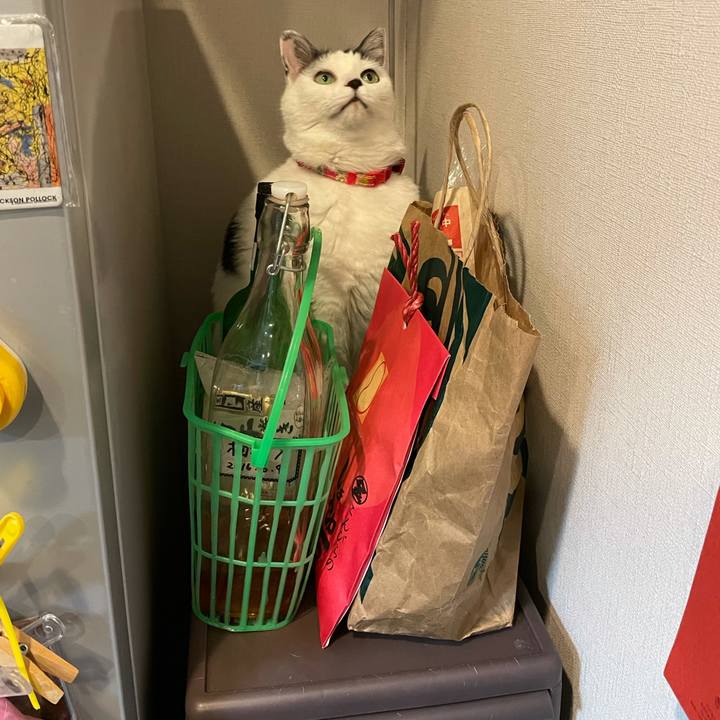 Ca50b275 0382 466e 8c01 867d5279cc76 1611491779277