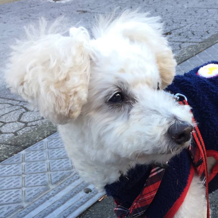 Ca50c451 08e9 4613 ae62 db18245d55eb 1514472294575