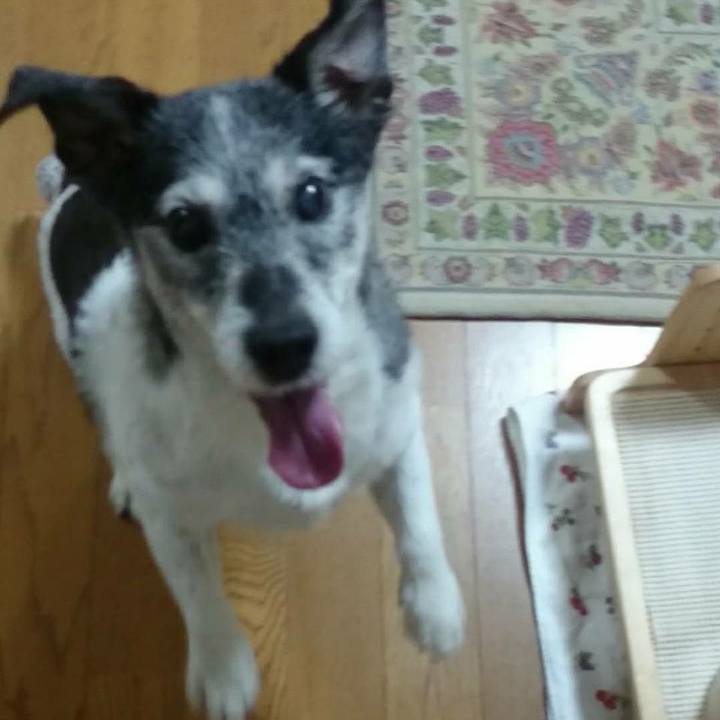 Ca50f616 f286 4ec1 a009 1ceb4015f3e0 1523325119592