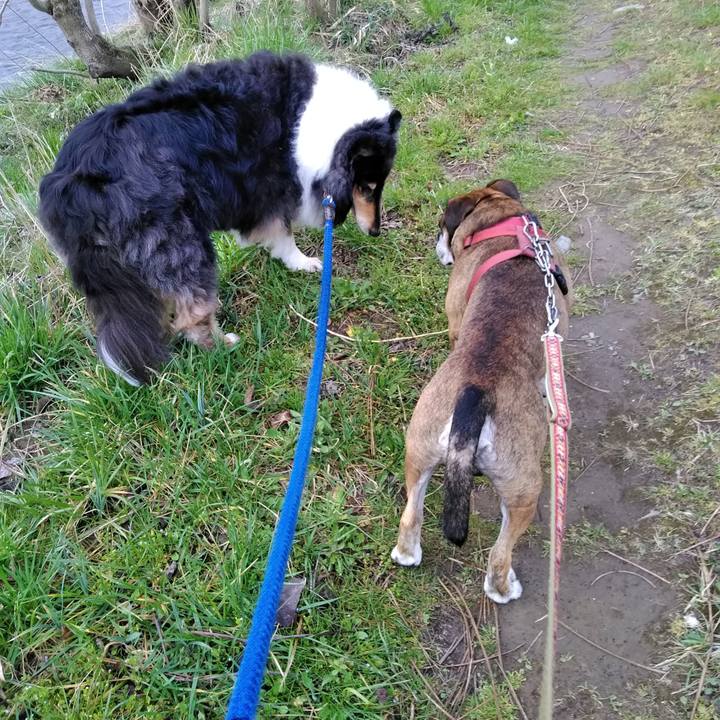 Ca510bc3 ec2f 48fe 8bb9 a392678a1af3 1521874945108