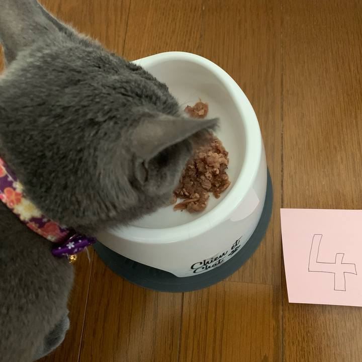 Ca510e61 06d7 4517 89ba b178b056a8f3 1613002797086