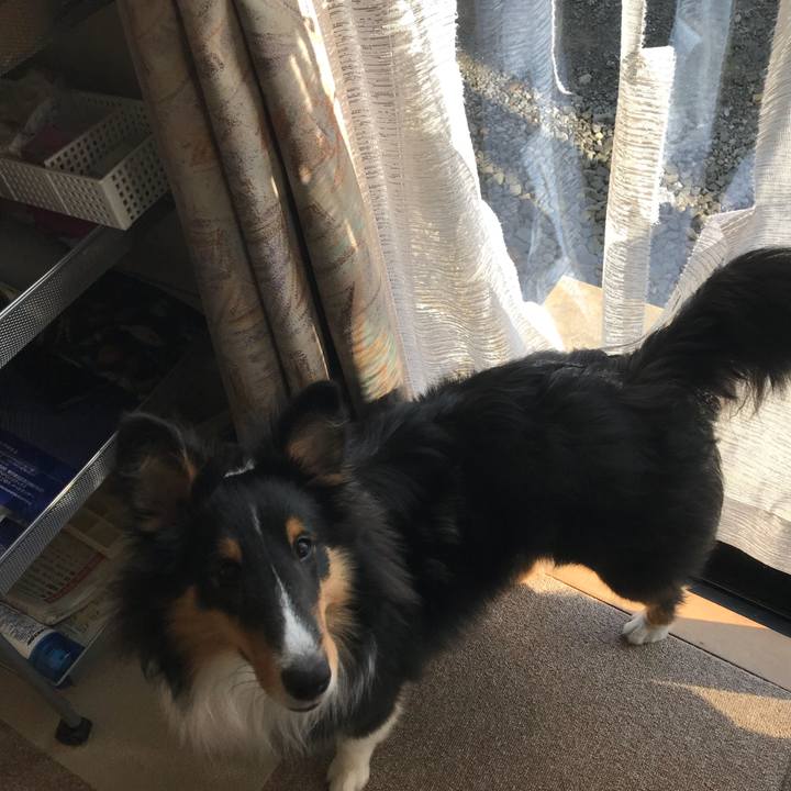 Ca5125d1 233a 4a4c b16e 6ddabf80d2ea 1522362948470