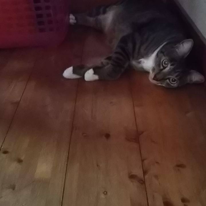 Ca512d36 7c4f 4197 be5e 179d8df363ba 1615548706239