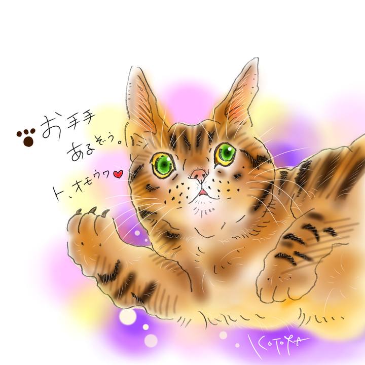 Ca512edd 6b09 427c a3f0 73fae2417f3e 1674308757079