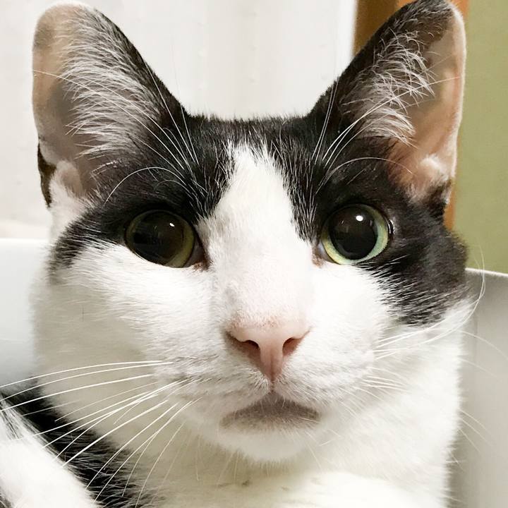 Ca517416 81d0 44ee ba3b 09524bccea64 1531839803883