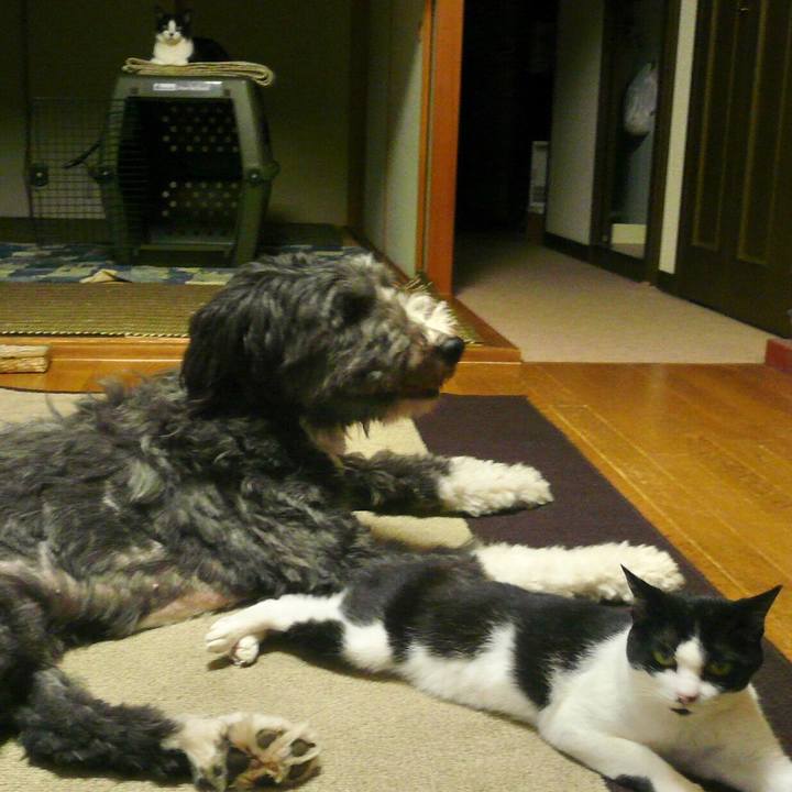 Ca5194ee 028e 435f 94b0 2f1110370c38 1581339507455