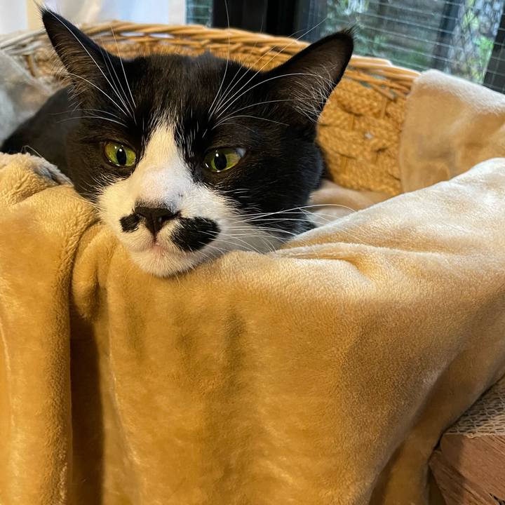 Ca51ed6d 3627 4bdc 8f4e bb7d198c9adc 1670221231320