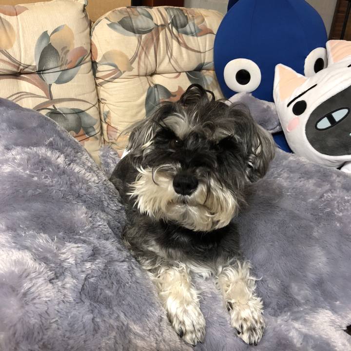 Ca51f392 35df 4794 8b2c 5335a3207b35 1521633936998