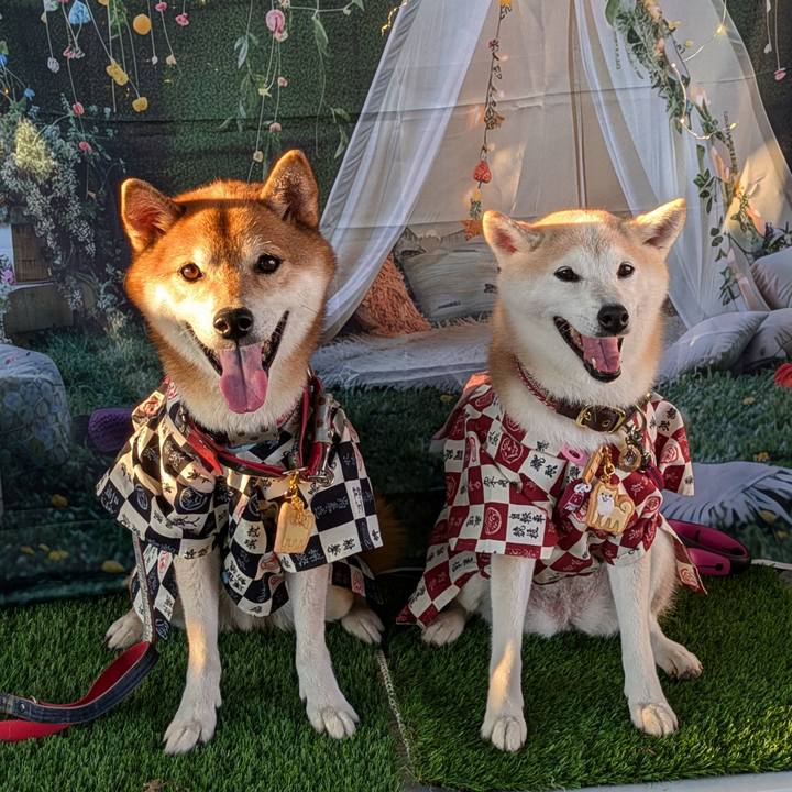 Ca5205a4 4b3d 4f96 bab5 f8b10edd8c34 1724559938760