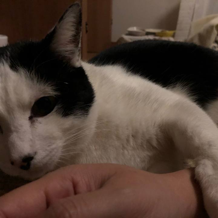 Ca521cfb 5338 421d 9d63 682aa6c4da67 1546184766458