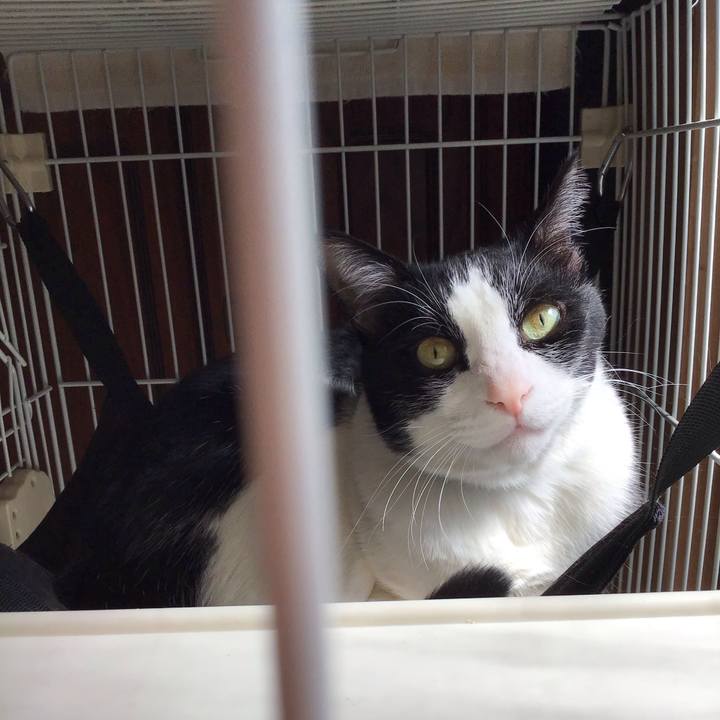 Ca5228c4 b2e7 4f1d 9e6d e8ba03b9c310 1742442791468