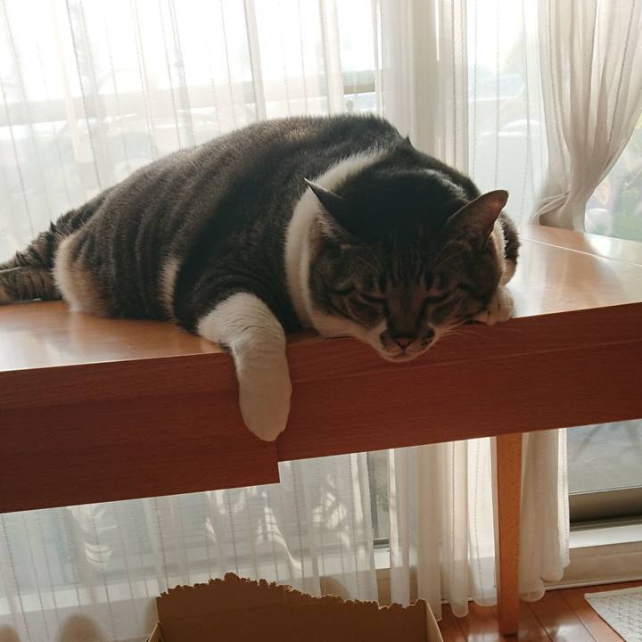 Ca5234fc 91ee 4066 84e5 f705e286dfcc 1540332016656