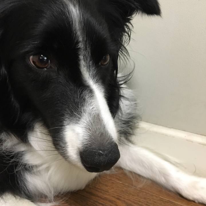 Ca52565f 6d0b 490b 878f 9924585ab295 1533872632143