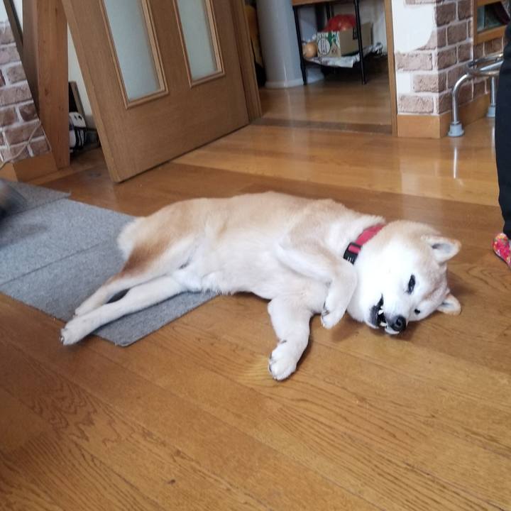 Ca525a00 add6 46e8 a333 2d89f66546c5 1742607008371