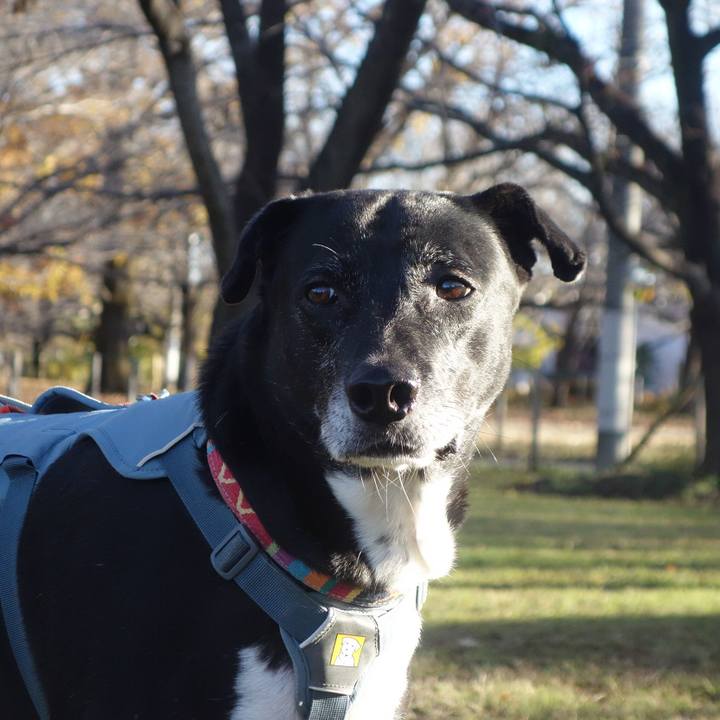 Ca5268ff 8df3 4c5e 908b f96124b5fe20 1733791899131