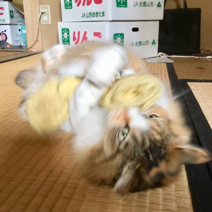 Ca5283d0 80a4 4e97 bbc3 7aaa75944149 1560998884955