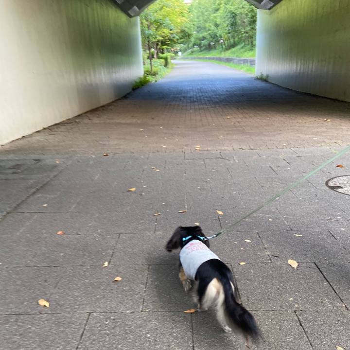 Ca52a976 31f3 4dcf 9abb c7dfc08bba24 1725746502299