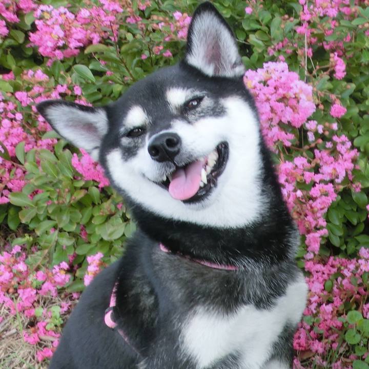 Ca52cc20 1d8c 4ad1 8052 f7eca01d9072 1538709350040