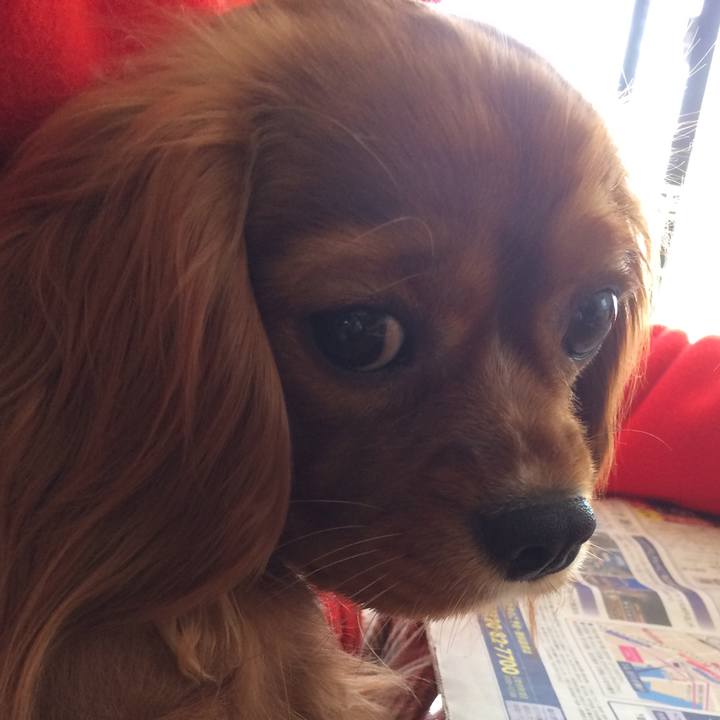 Ca52d3ef 7dad 47a6 951a 4d8b4d568582 1515832146798