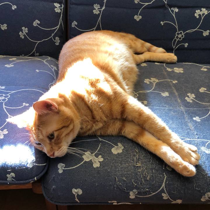 Ca52fa12 2a4c 462c aa90 c04edbb0c05c 1567924561143