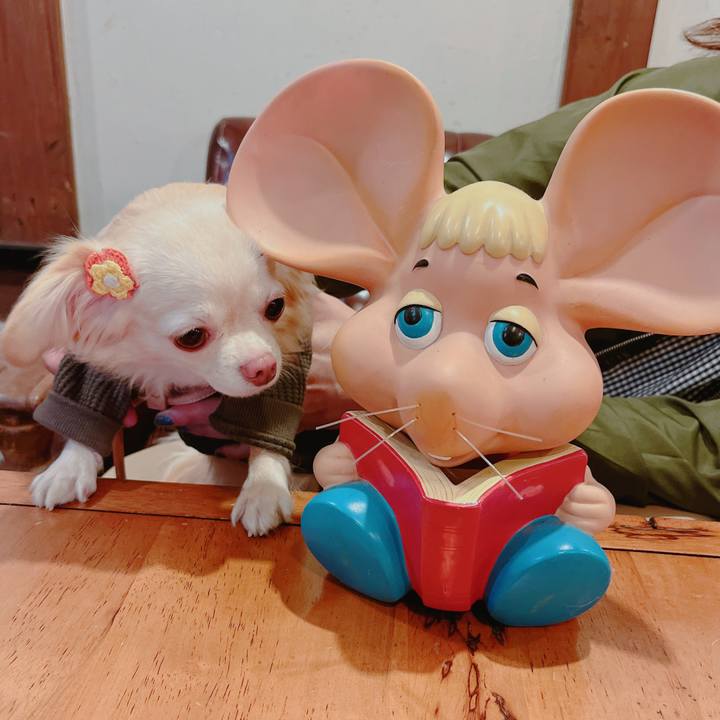 Ca52fd67 84ee 4af8 b296 a01b29d69114 1669456380564