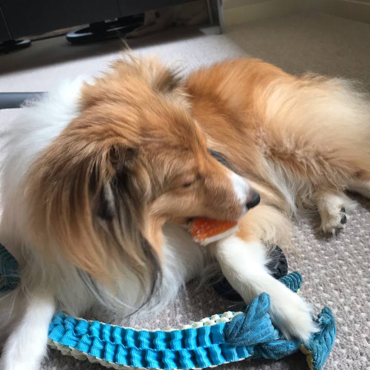 Ca5310ce cea6 466f b224 bf5fa20b08e6 1592629948842