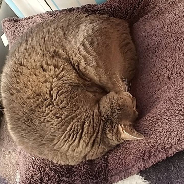 Ca5342ce 3b05 42e0 90aa 882f13683535 1648015063777