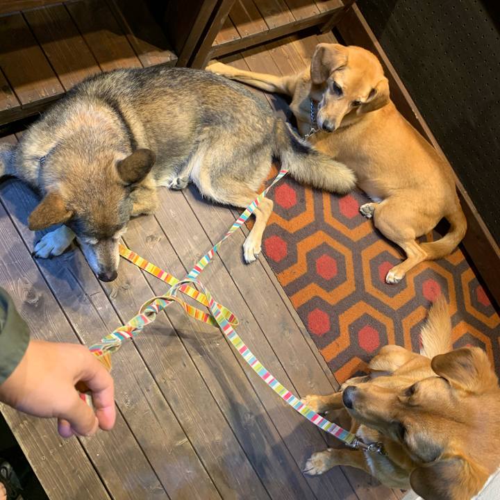 Ca536f4e 7c55 4cbc 9941 7ad278a7d0a6 1571308987104