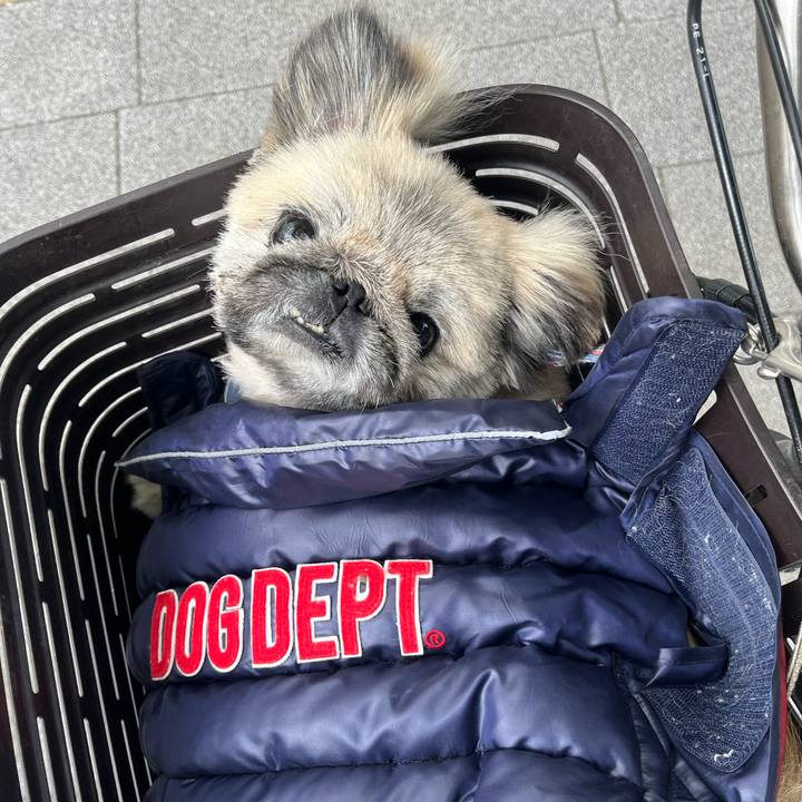 Ca53732f ca66 4443 98ee 5820ea24a17c 1764643028894