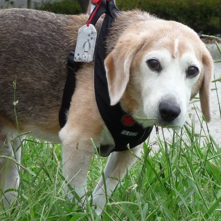 Ca5389ae 1f93 45ad 9a28 9b3f6006cd5f 1697504855620