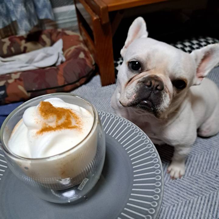 Ca538fc7 5583 43e8 bc54 af6d34d4ac50 1698533390873