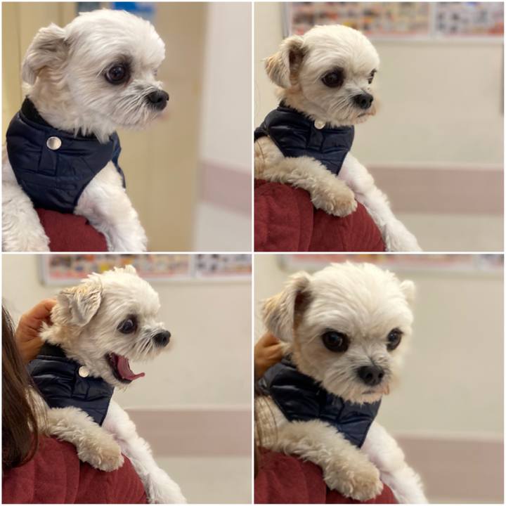 Ca53b21a 7752 4cde a39d 320db64781f6 1575193869832