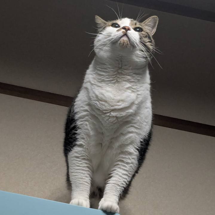 Ca53d6ca be77 4afa 80e4 c4ce39e13763 1752064500827