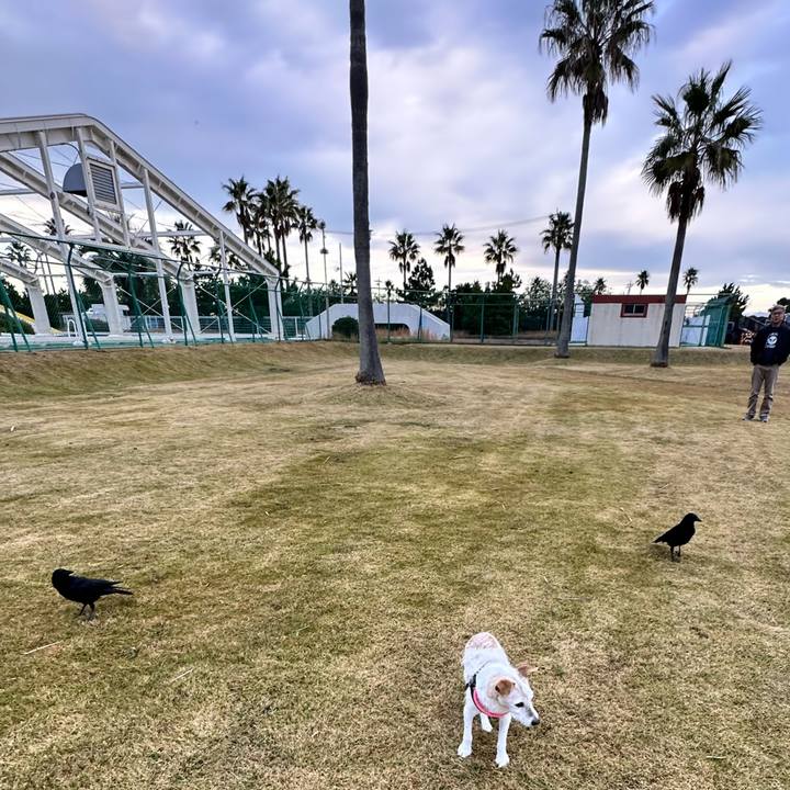 Ca53df62 6459 479f 9cff bd877c5ab0e4 1669465192519