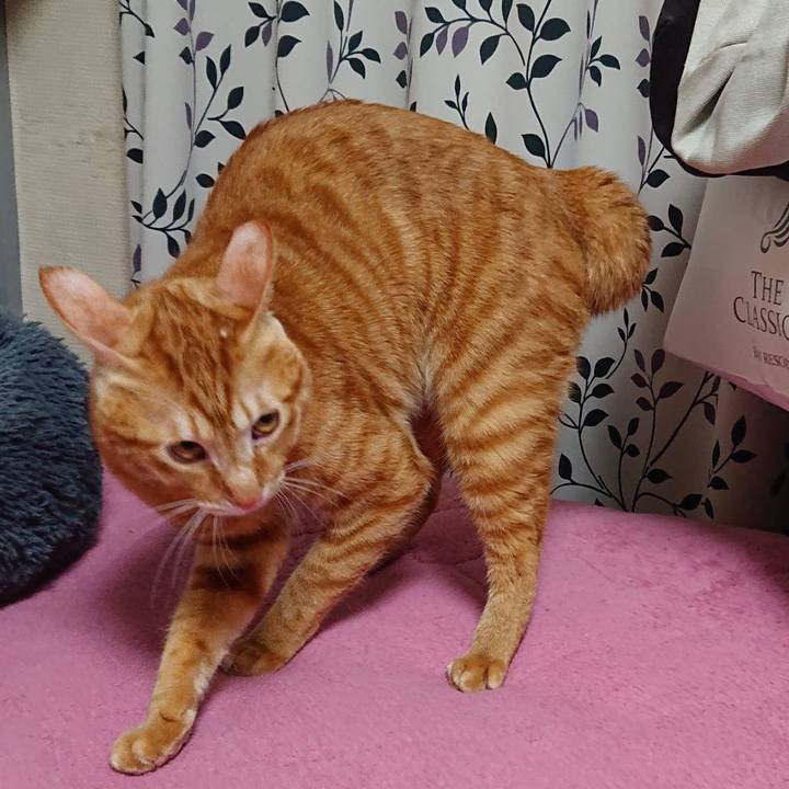 Ca5402e1 6048 4571 b1ce 4c889693e667 1578386927418