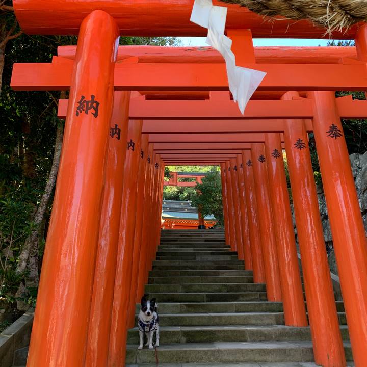 Ca5495e1 05b0 4e7e 96e7 b0e4e85acdeb 1575007032788