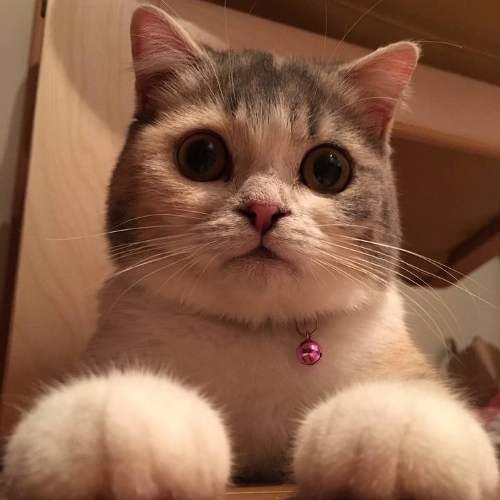 Ca54b9af 9399 498a a3b8 af59cb490479 1537926546986