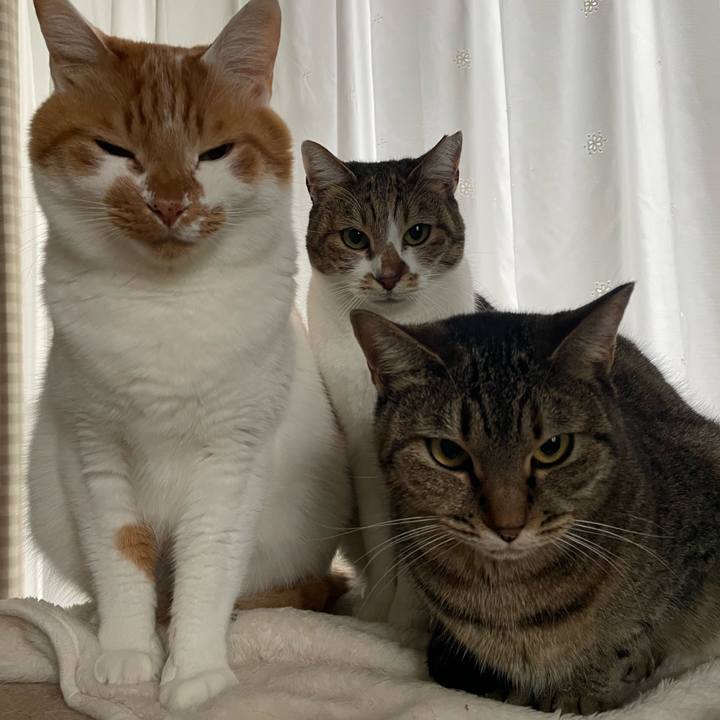 Ca54c83e 1091 44d4 894a c1c4d0d11f60 1702943651064