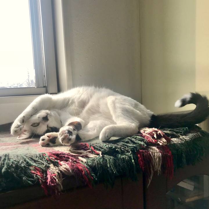 Ca54ca05 2912 4074 93b3 423f5ee9c95f 1542283047761