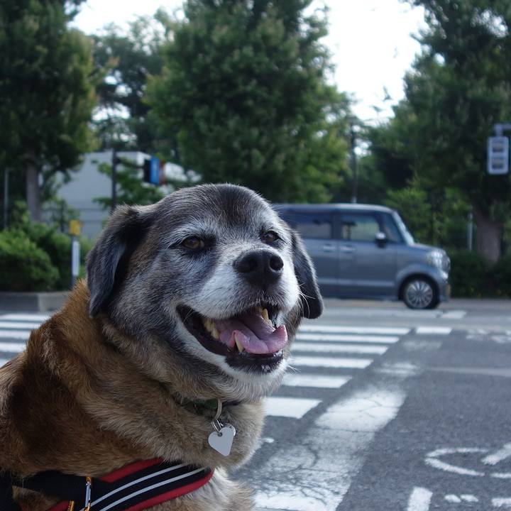 Ca54cc59 7d80 4bde a7f0 945677b210db 1527125867780