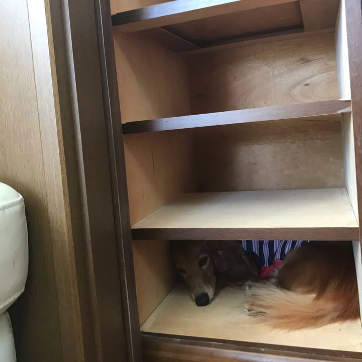 Ca5505ba 33f6 4933 b646 60773a49c3c3 1598593047657