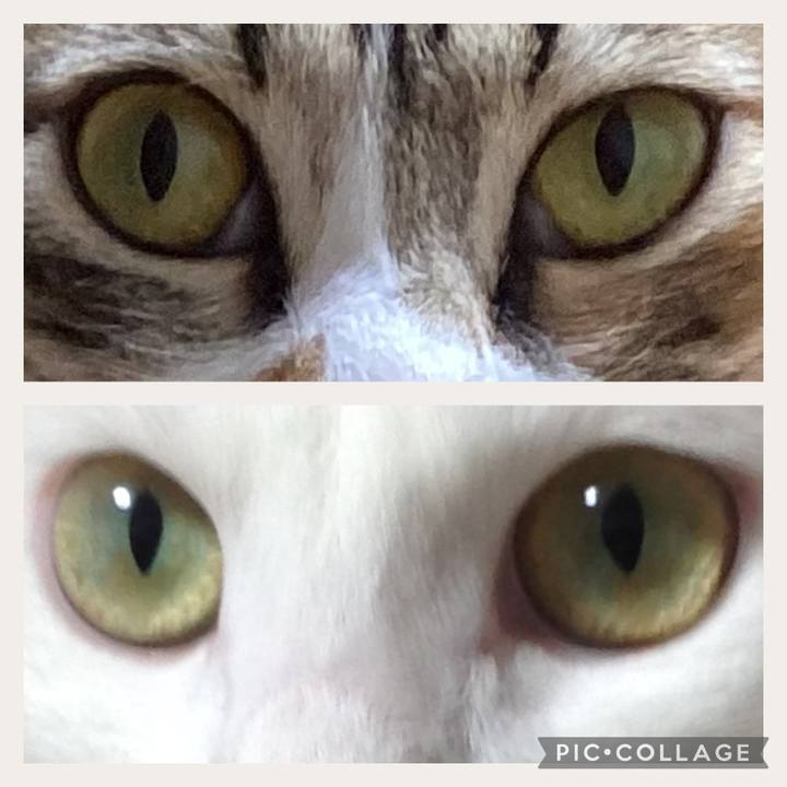 Ca553820 9ab9 49ff 80d3 0ea2c81a2097 1670627435683