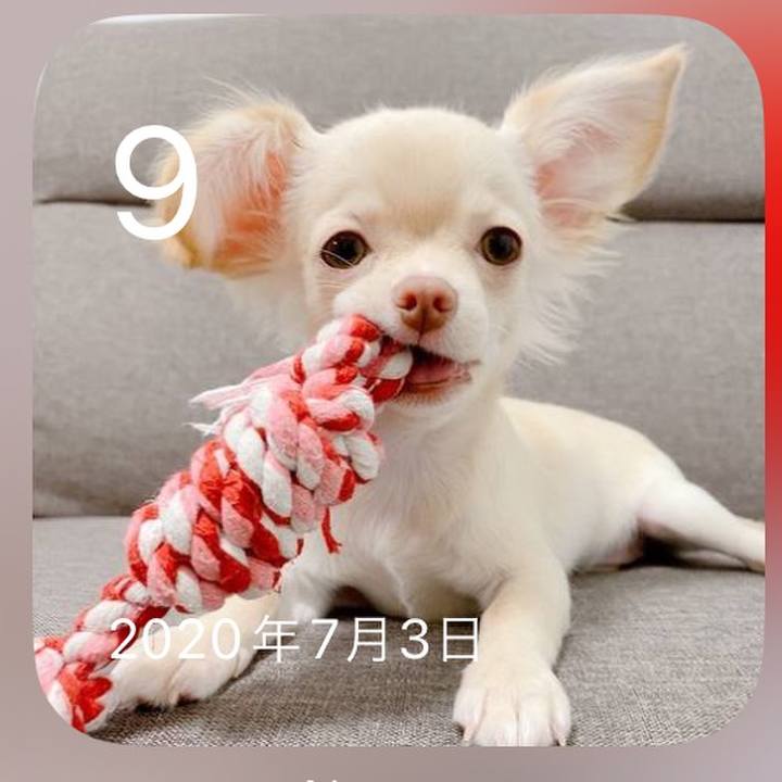 Ca553f15 9a5e 4d73 919f 47bc2e5a2d60 1720530864766