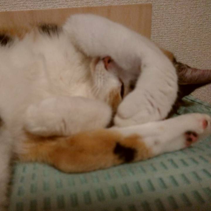 Ca5562ae cce1 497b 8646 448cf5d52bd2 1599308296739