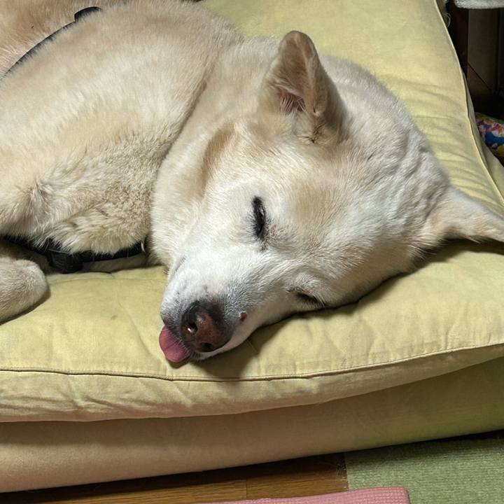 Ca557d94 8ea3 4601 9fdb e103e3107052 1757513803082