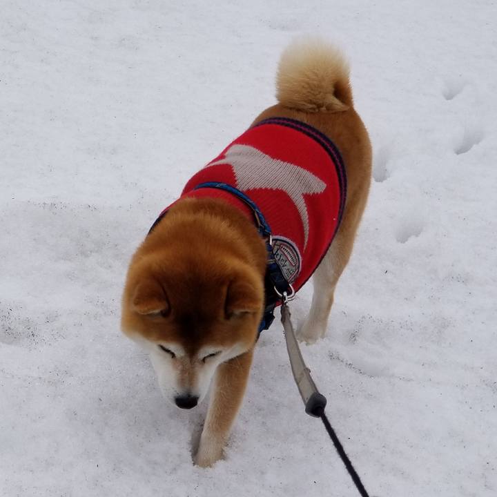 Ca557e74 d73d 4c79 b624 c28165d56c3e 1552277193802